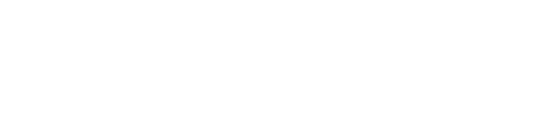 Main Logo